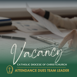 Vacancy Attendance dues team leader 2024