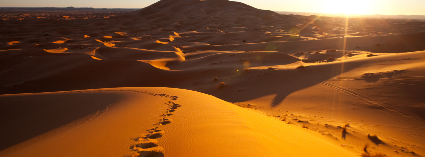 Desert Lent Footsteps Journey